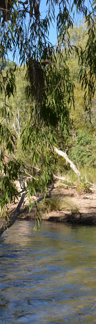 Sich treiben lassen...